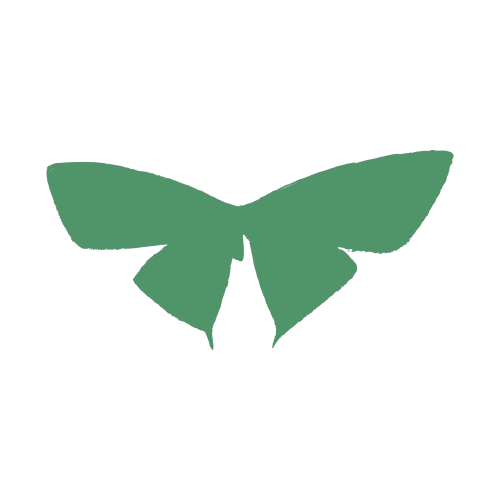 Mariposa Boulevard 161